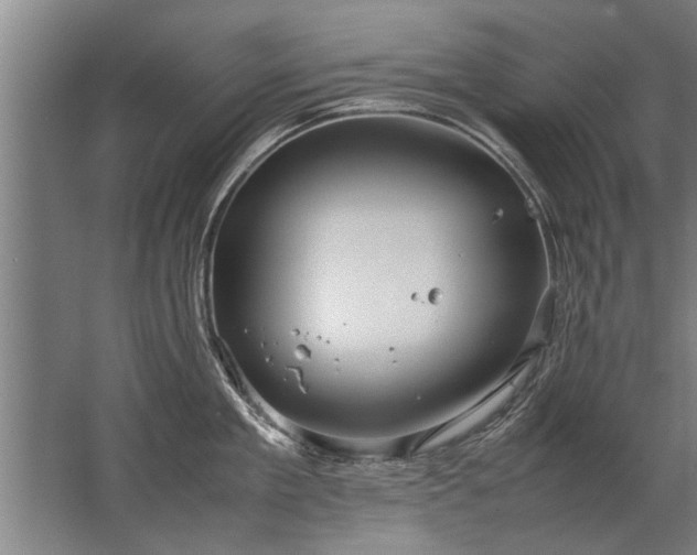 X0000067520909200604150156