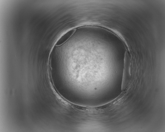 X0000067520911200604150156