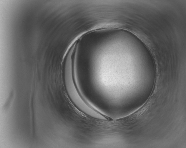 X0000067520912200604150156