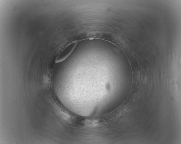 X0000067520914200604150156