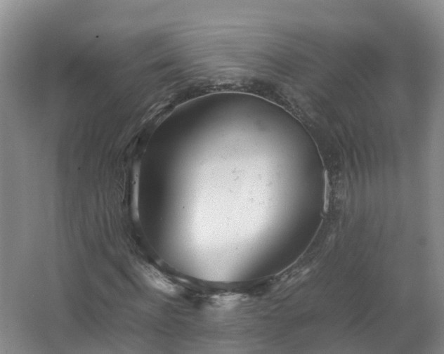 X0000067520916200604150156