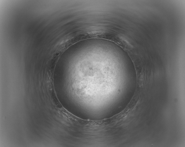 X0000067520917200604150156