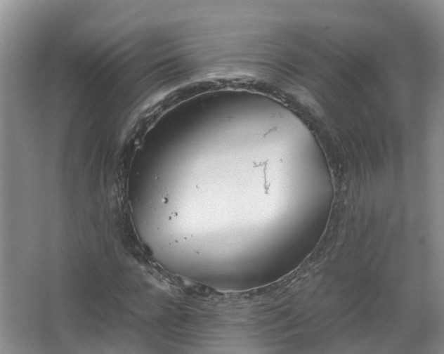 X0000067520920200604150156