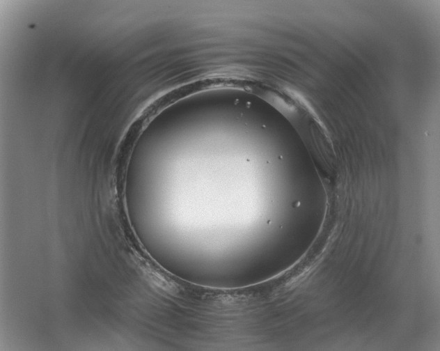 X0000067520923200604150156