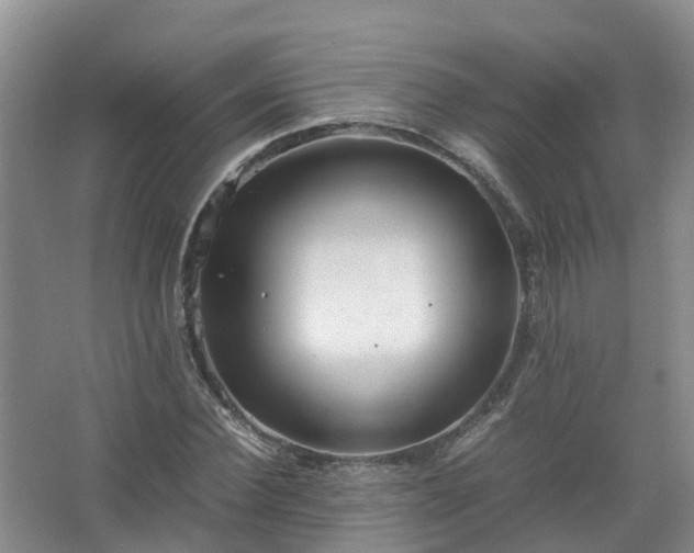 X0000067520924200604150156