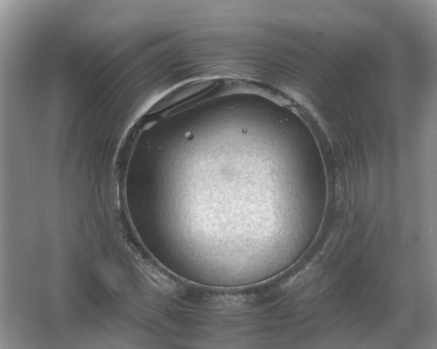 X0000067520925200604150156