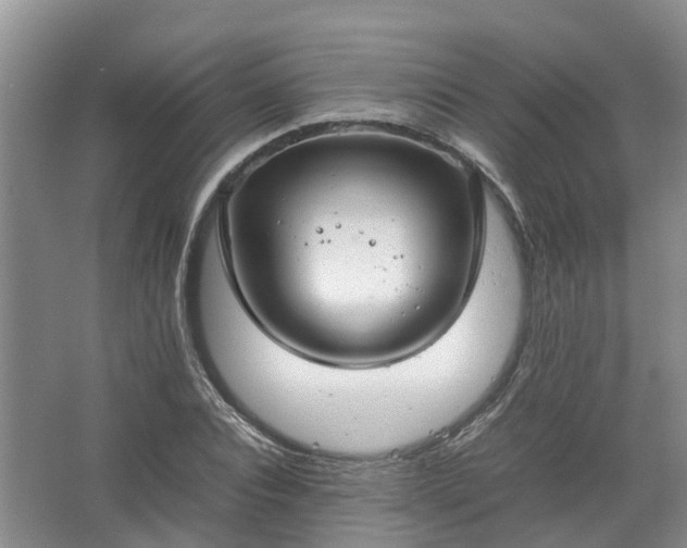 X0000067520928200604150156