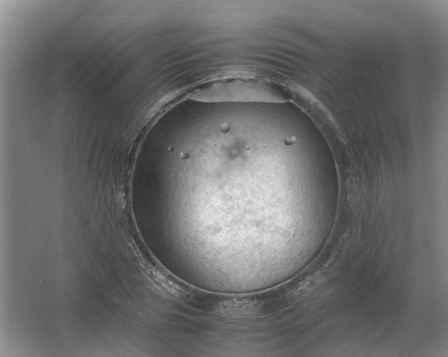 X0000067520929200604150156