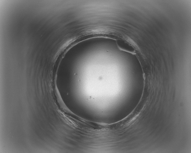 X0000067520930200604150156