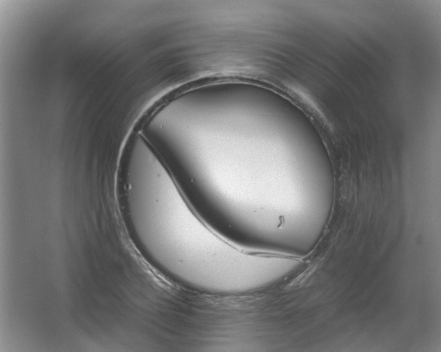 X0000067520932200604150156