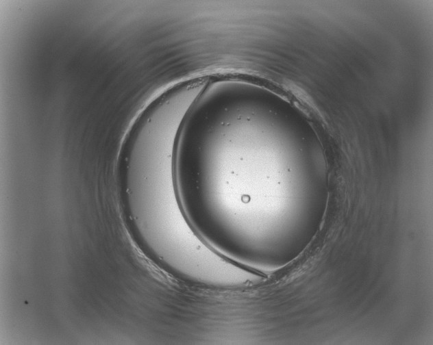 X0000067520934200604150156