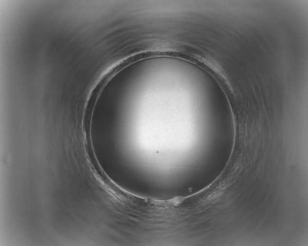 X0000067520935200604150156