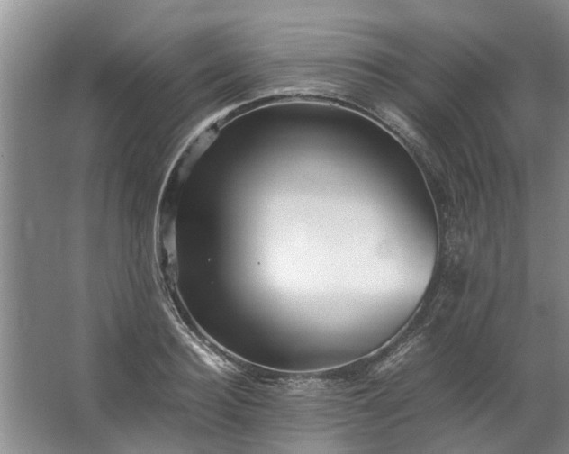 X0000067520940200604150156