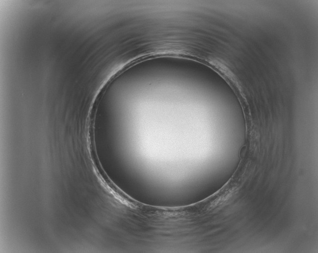 X0000067520941200604150156