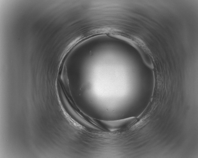 X0000067520946200604150156