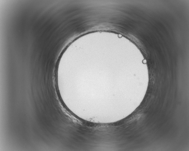 X0000067520950200604150156