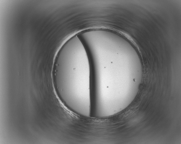 X0000067520951200604150156