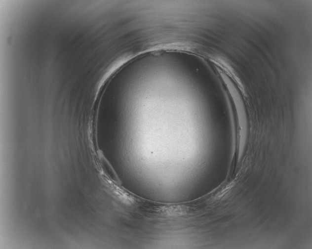 X0000067520952200604150156