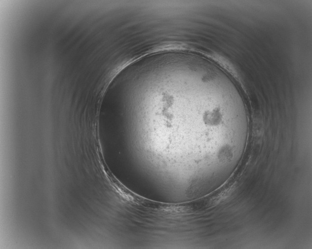 X0000067520953200604150156