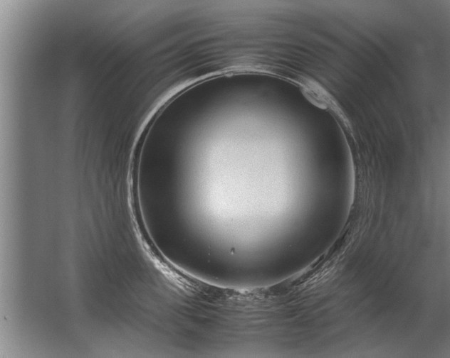 X0000067520955200604150156