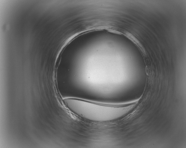 X0000067520956200604150156