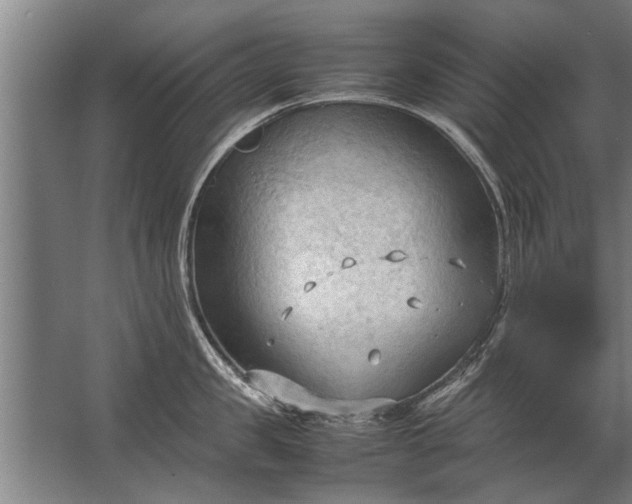 X0000067520957200604150156