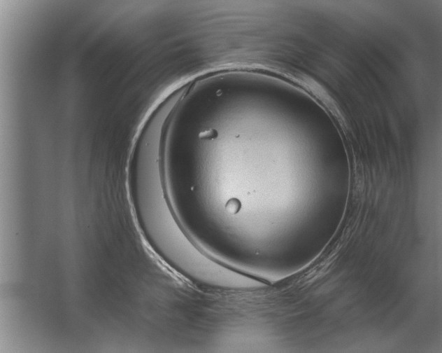 X0000067520958200604150156