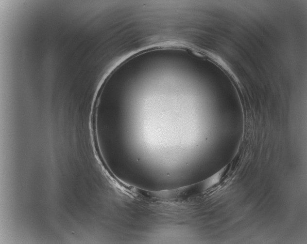 X0000067520959200604150156