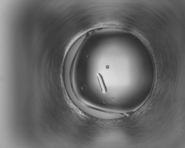 X0000067520960200604150156