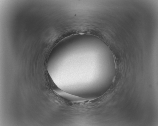 X0000067520961200604150156