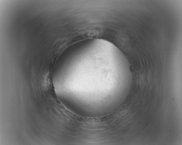 X0000067520962200604150156