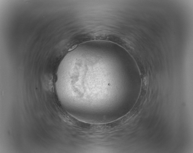 X0000067520963200604150156