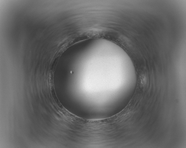 X0000067520964200604150156