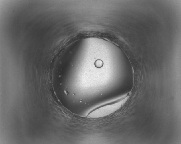 X0000067520965200604150155