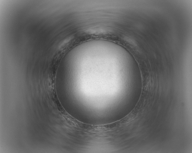 X0000067520966200604150155