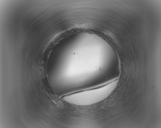 X0000067520968200604150155