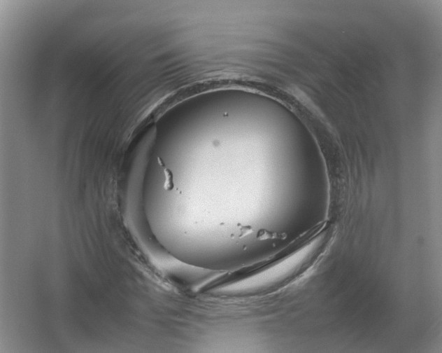 X0000067520969200604150155