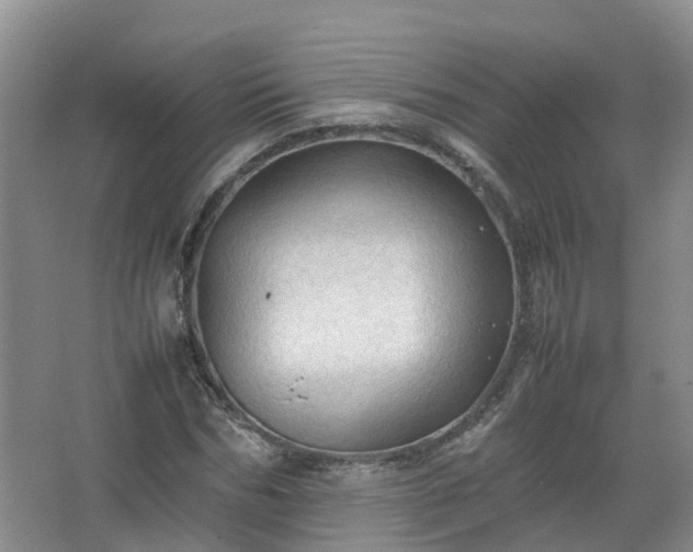 X0000067520970200604150155