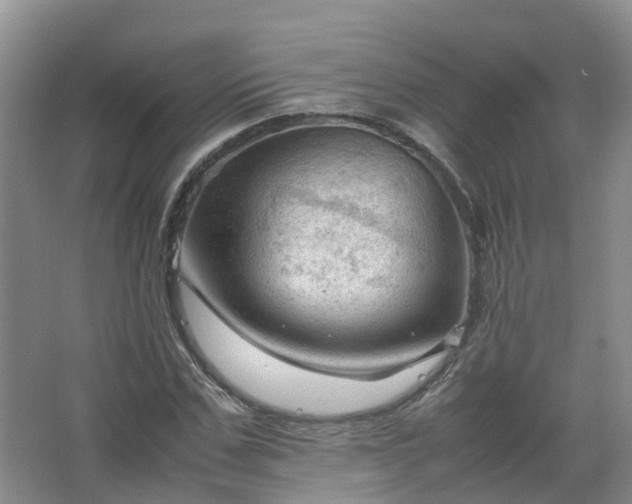 X0000067520971200604150155