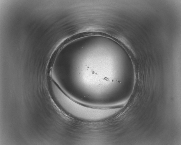 X0000067520972200604150155