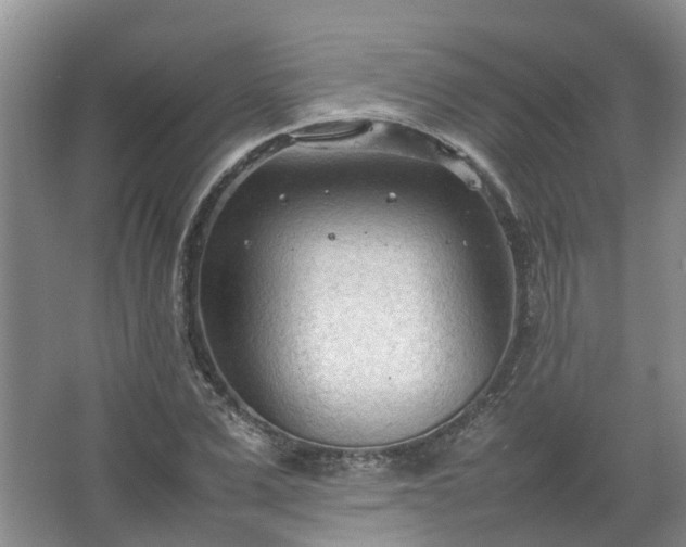 X0000067520975200604150155