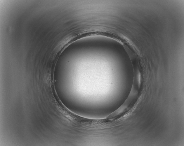 X0000067520977200604150155