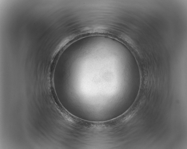 X0000067520978200604150155