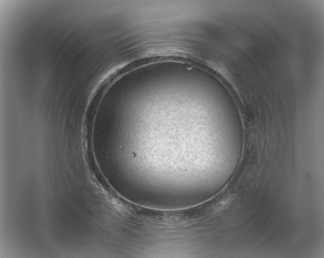 X0000067520979200604150155