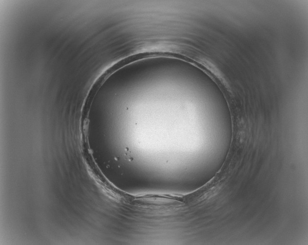 X0000067520980200604150155