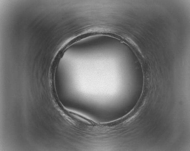 X0000067520981200604150155