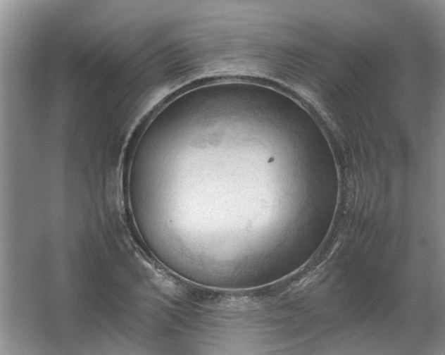 X0000067520982200604150155