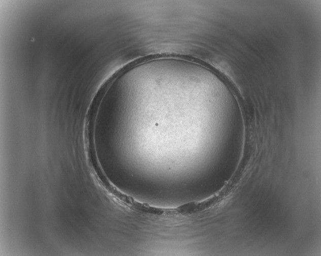 X0000067520983200604150155