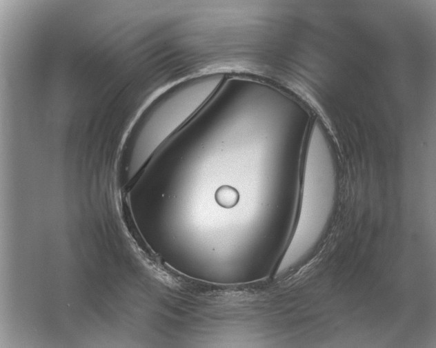 X0000067520984200604150155