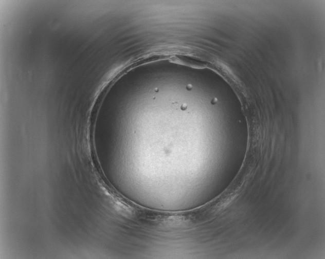 X0000067520986200604150155